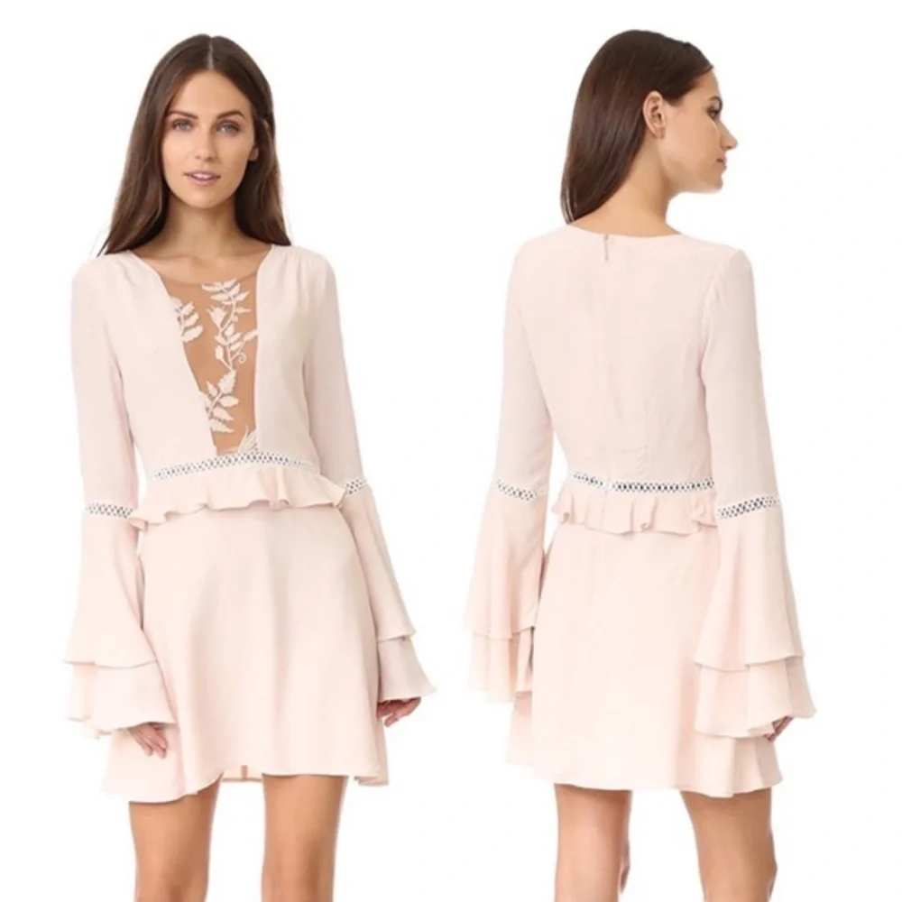 For Love & Lemons / Emilia Mesh Flare Mini Dress - Picture 1 of 14